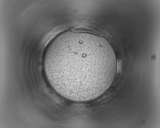 X0000111910291200908171308