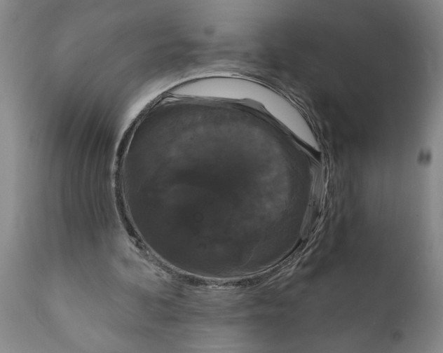 X0000111910292200908171308