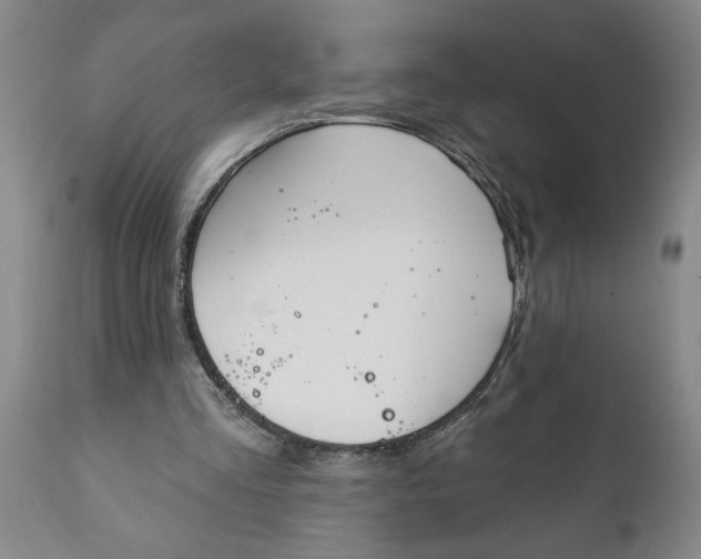 X0000111910293200908171308
