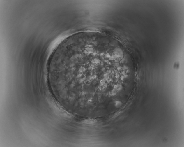 X0000111910294200908171308