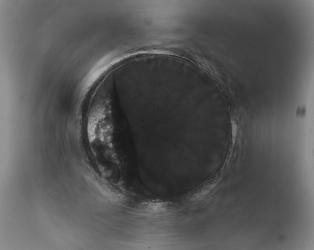 X0000111910295200908171308