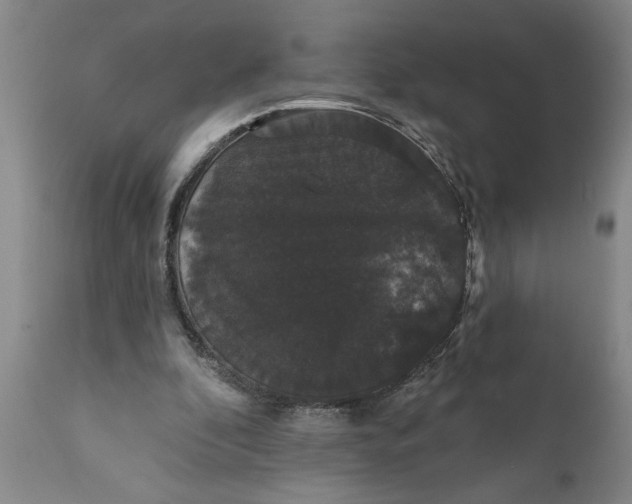 X0000111910296200908171308