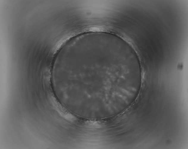 X0000111910297200908171308