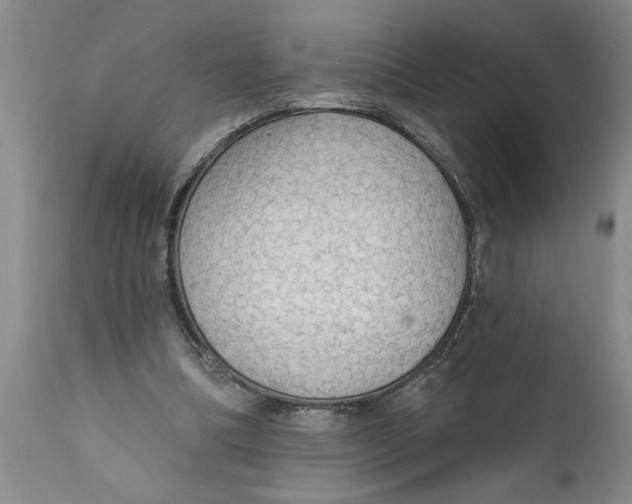 X0000111910298200908171308