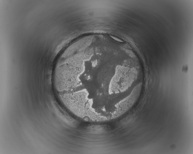 X0000111910299200908171308