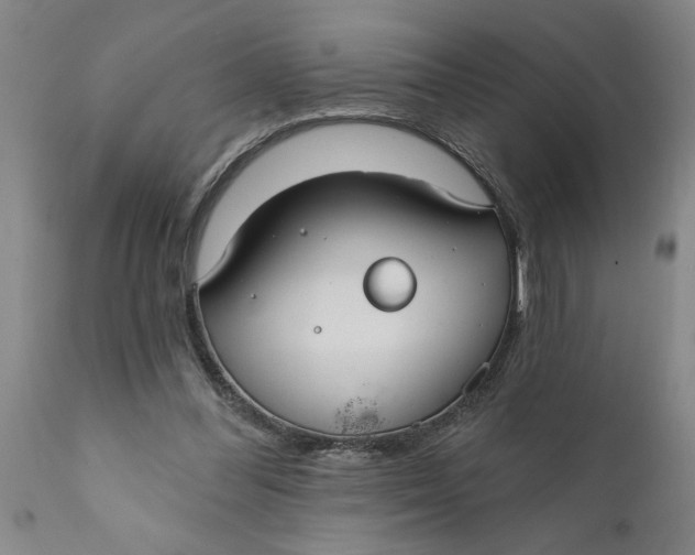X0000111910300200908171308