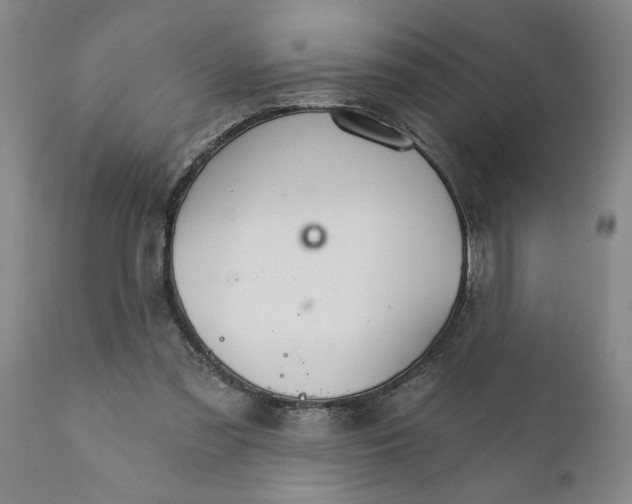 X0000111910301200908171308