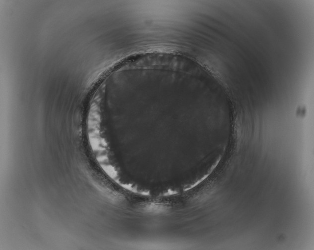 X0000111910303200908171308