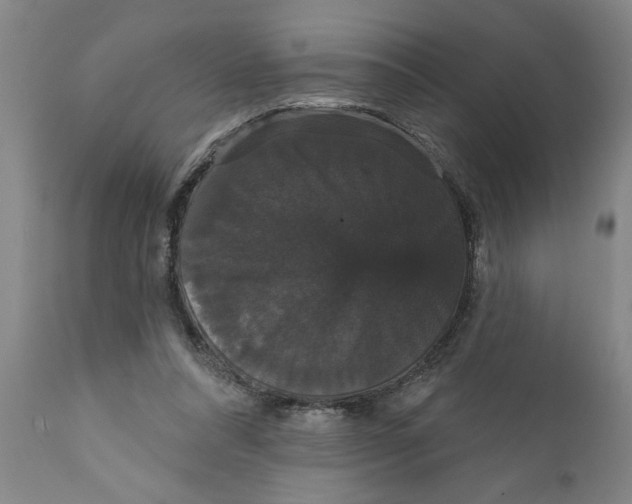 X0000111910304200908171308