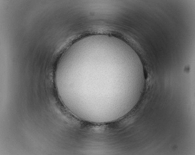 X0000111910306200908171308