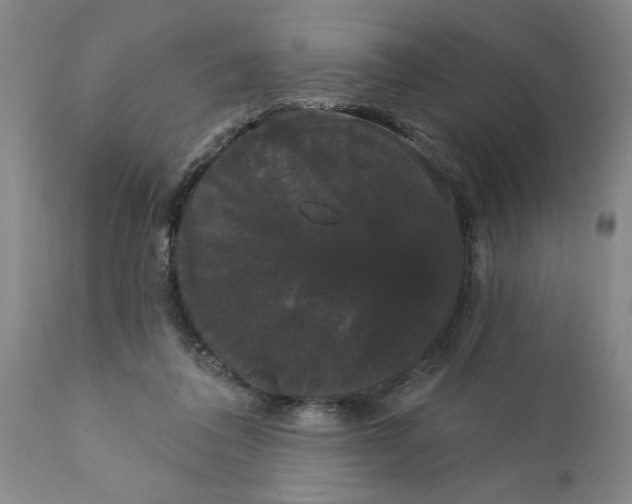 X0000111910308200908171308