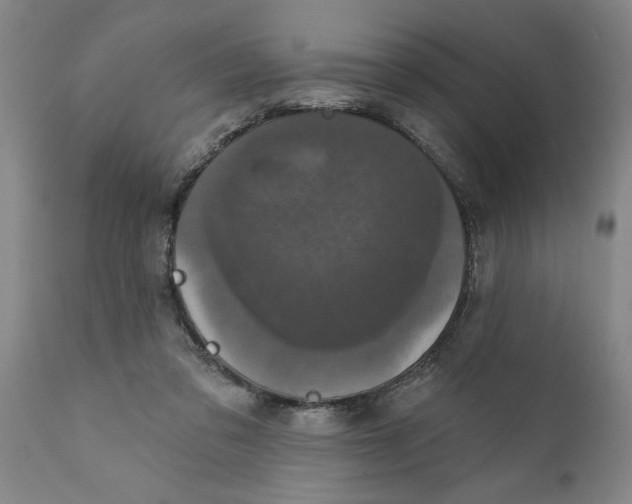X0000111910309200908171308