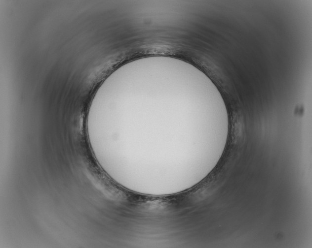 X0000111910310200908171308