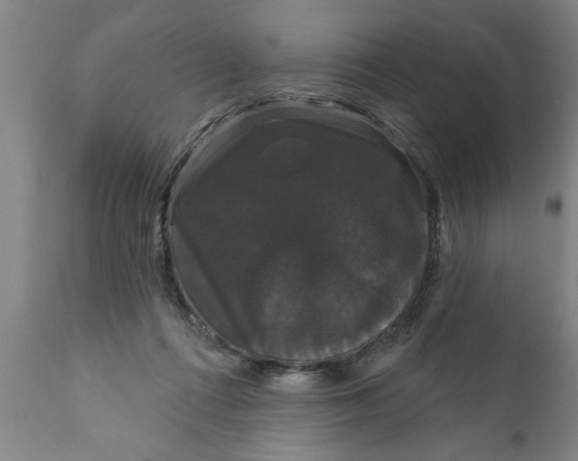 X0000111910312200908171308