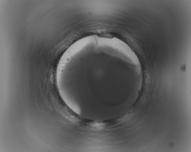 X0000111910313200908171308