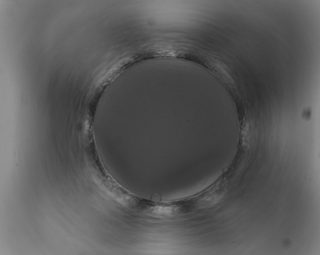 X0000111910314200908171308