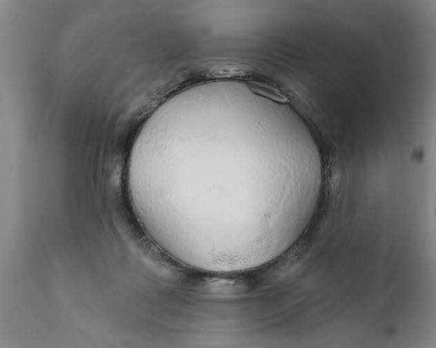 X0000111910315200908171308