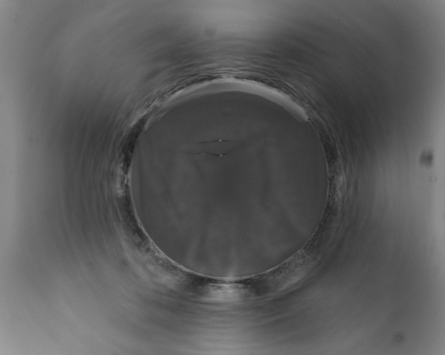 X0000111910316200908171308