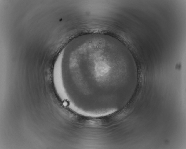 X0000111910317200908171307