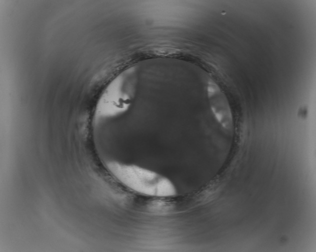 X0000111910319200908171307