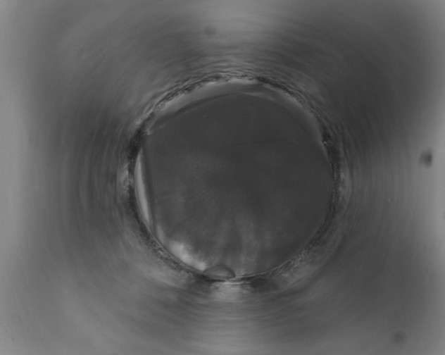 X0000111910320200908171307