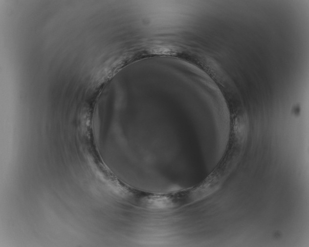X0000111910322200908171307