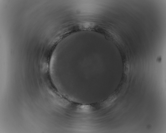 X0000111910324200908171307