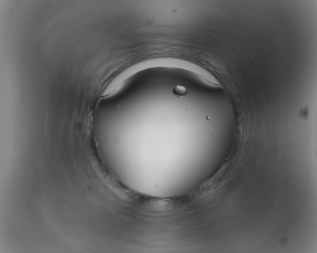 X0000111910325200908171307