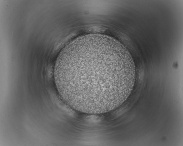 X0000111910326200908171307