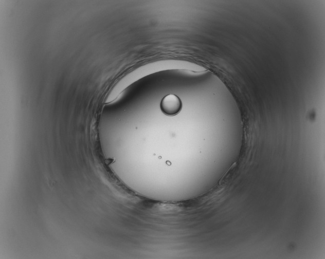 X0000111910327200908171307
