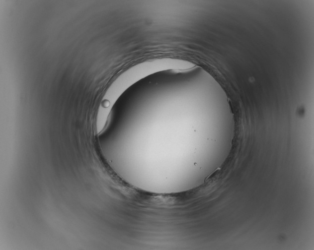 X0000111910328200908171307