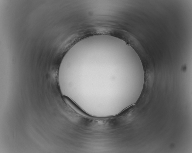 X0000111910329200908171307
