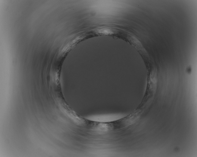 X0000111910330200908171307