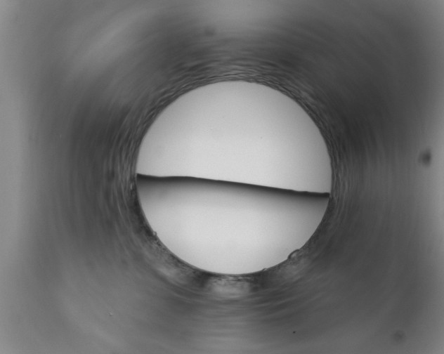 X0000111910331200908171307
