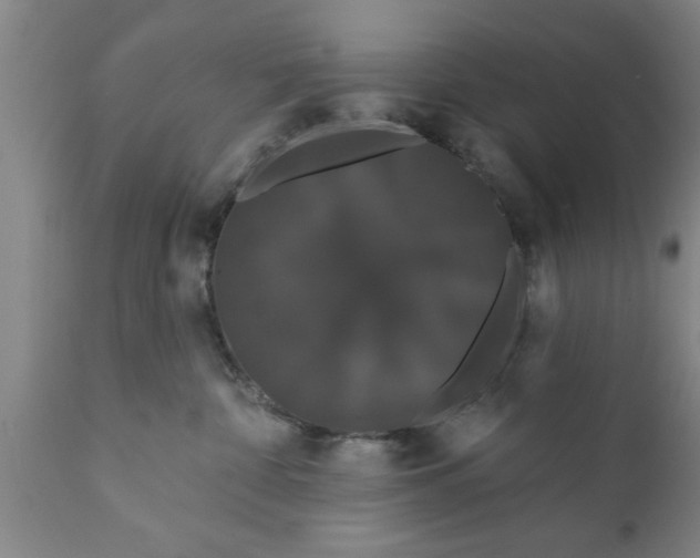 X0000111910332200908171307
