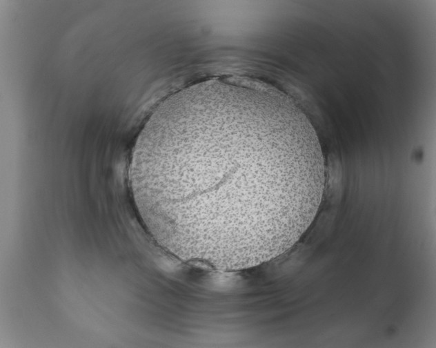 X0000111910333200908171307