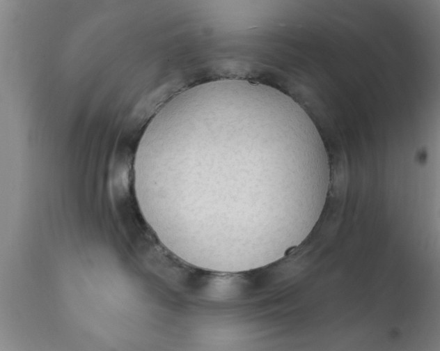 X0000111910334200908171307
