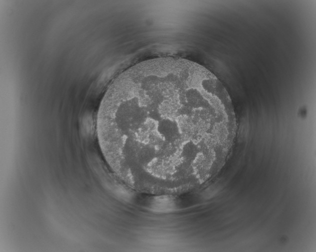 X0000111910335200908171307