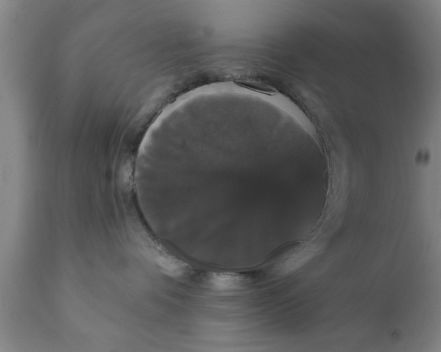 X0000111910336200908171307