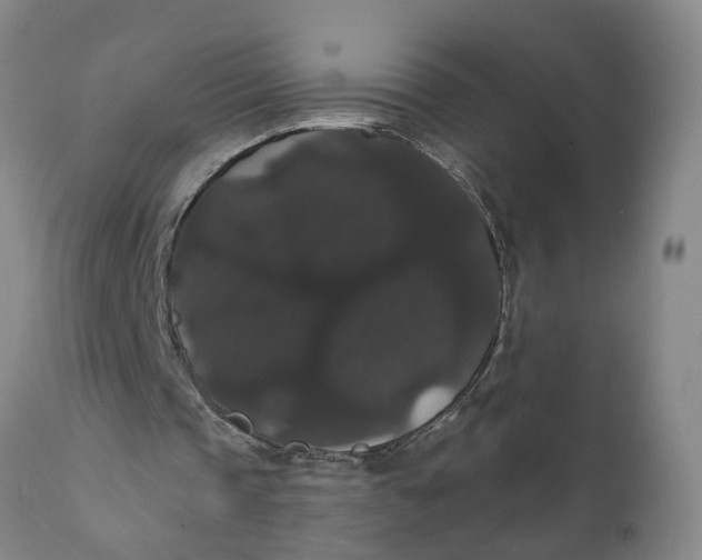 X0000111910337200908171306