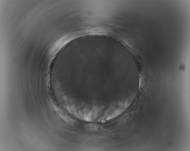 X0000111910339200908171306