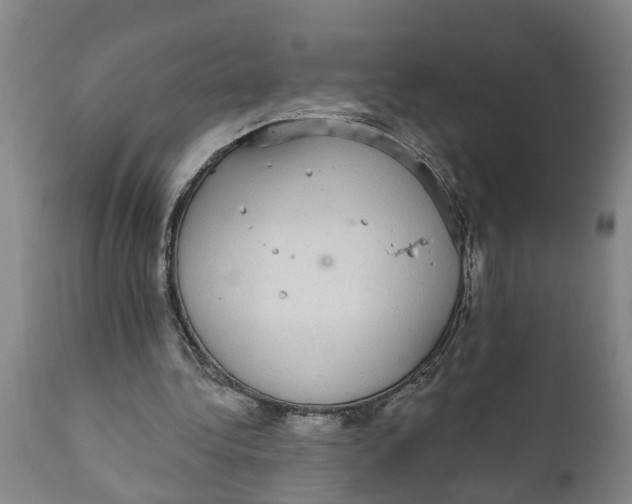 X0000111910340200908171306
