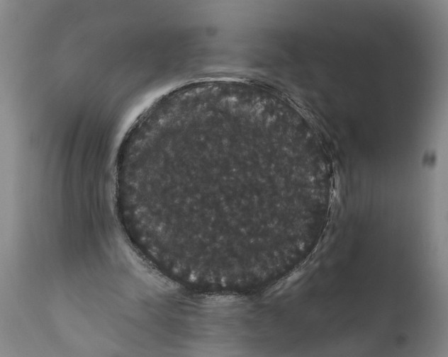 X0000111910342200908171306