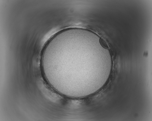 X0000111910344200908171306