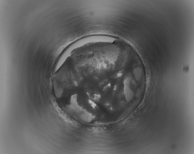 X0000111910345200908171307