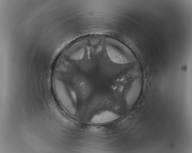 X0000111910346200908171307