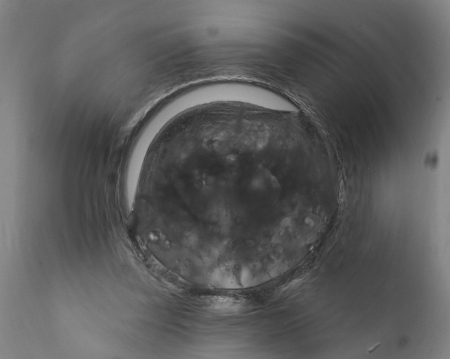 X0000111910347200908171307