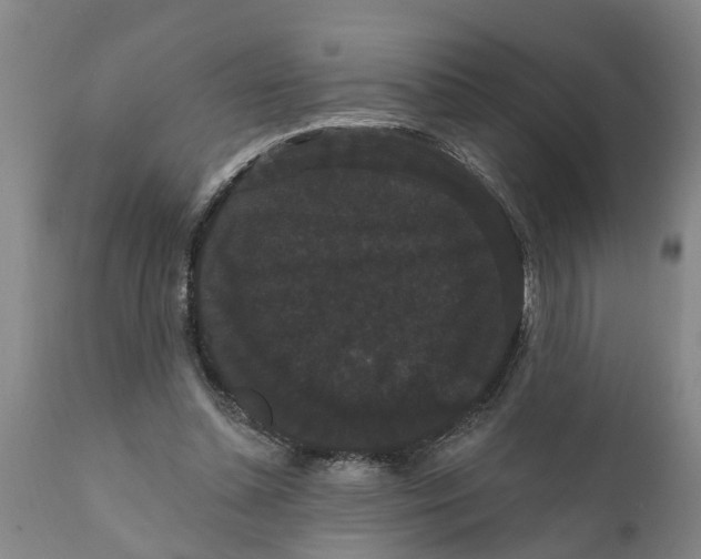 X0000111910348200908171307