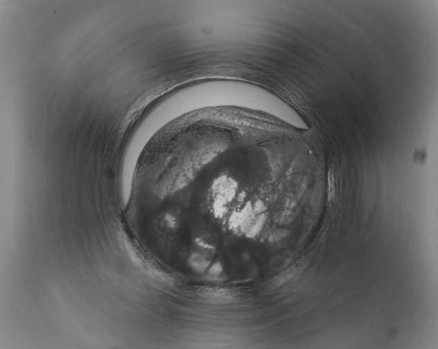 X0000111910349200908171307
