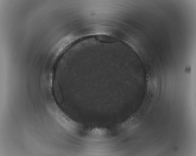 X0000111910350200908171307